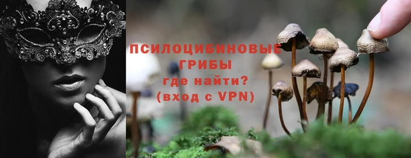 ГАЛЛЮЦИНОГЕННЫЕ ГРИБЫ Балабаново