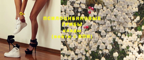 ГАЛЛЮЦИНОГЕННЫЕ ГРИБЫ Балабаново