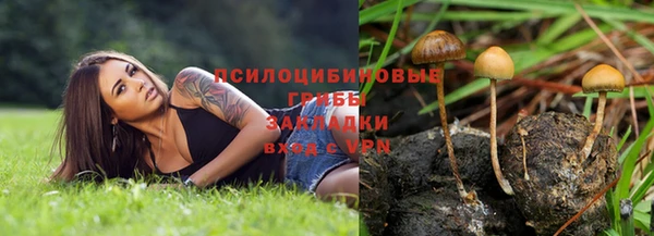 ГАЛЛЮЦИНОГЕННЫЕ ГРИБЫ Балабаново