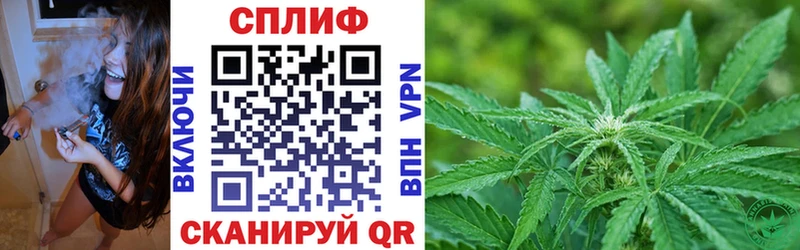 Бошки марихуана White Widow  хочу   ссылка на мегу как войти  Кущёвская 